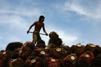 Indonesia Aims To Finish Research On 40%-palm-based Biodiesel In Nov