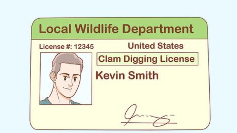 How to Dig for Clams