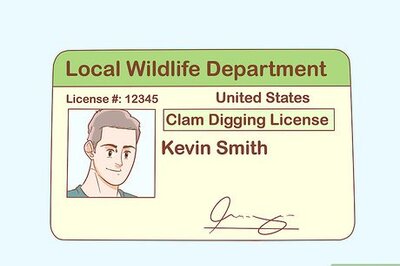 How to Dig for Clams