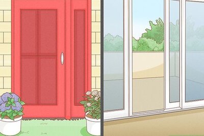How to Get a Squirrel Out of Your House