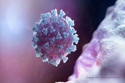 Covid-19 Pandemic May Lead to Surge in HIV, TB, Malaria Deaths, Reveals Lancet Study