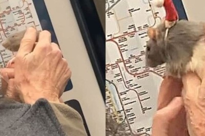 Watch: Elderly Man Takes His Pet Rat Out For A Train Ride On Christmas