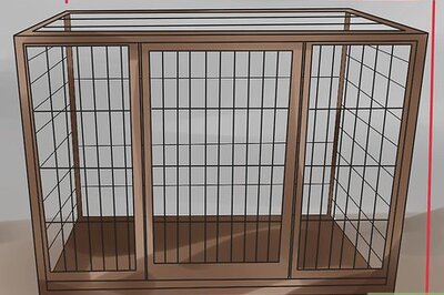 How to Train Collies