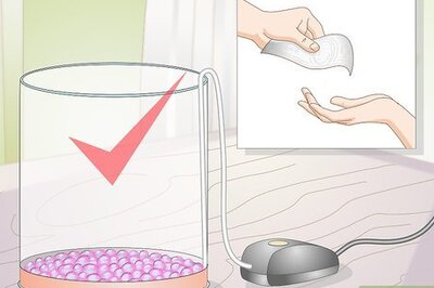 How to Maintain a Jellyfish Tank