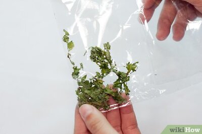 How to Make a Gum Wrapper Herbal Cigarette