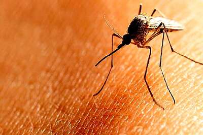 Study Debunks Earlier Theories That Cooler Regions Are Free of Malaria Risks