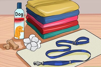 How to Give a Stubborn Dog a Bath