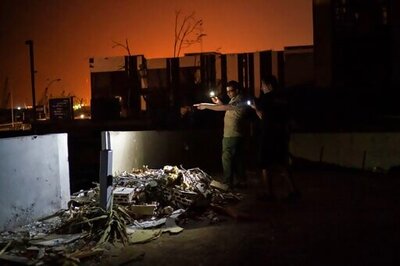 Volunteers rescue pets, search for lost ones in Beirut blast