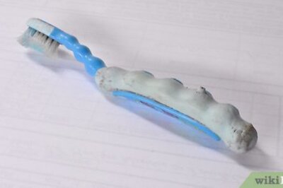 How to Brush a Dog's Teeth