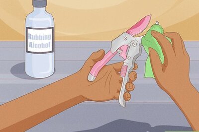 How to Prune Desert Rose