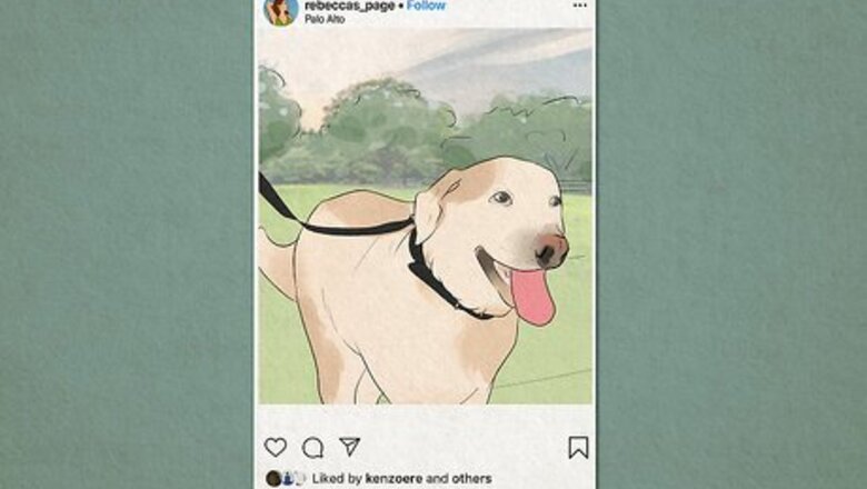 260+ Cute & Funny Dog Captions to Use on Social Media