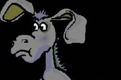 Meet Mr & Mrs Donkey, Mika & Rakhi