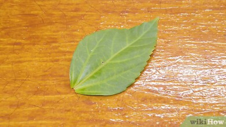 How to Test for Starch