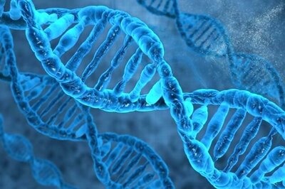 Human DNA is not fully 'human': Study