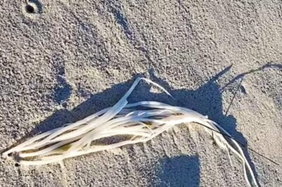Alien Or Natural Phenomenon? What This Strange Discovery On Perth Beach Is