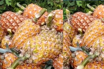 This Indian State Sells Pineapple At Just Rs 5 To Rs 10; Can You Guess The Name?