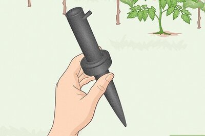 How to Set up an Inexpensive Irrigation System