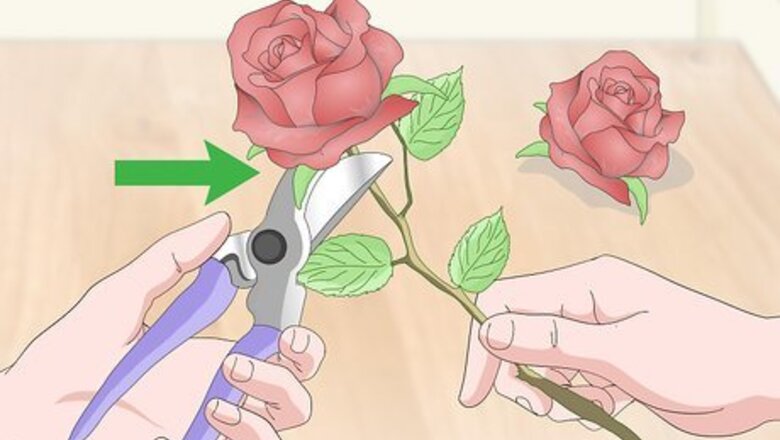 How to Dry Flowers Quickly