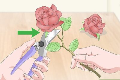 How to Dry Flowers Quickly