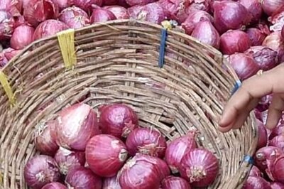 Onions Bring Tears to Maha Farmer Who Earns Just Rs 13 After Selling Over 1.1 Ton