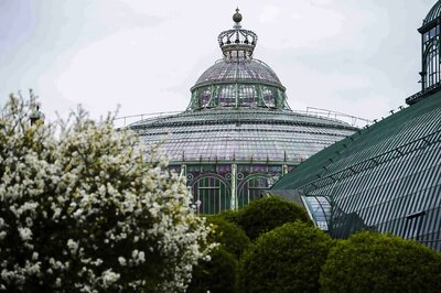 Belgian King's Colonial-Era Greenhouse Opens to Public