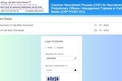 IBPS PO Prelims Admit Card 2024 Out At ibps.in, Direct Link To Download Here