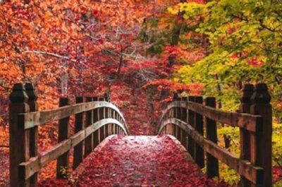 Sharad Ritu 2022: What to Eat and Avoid in Autumn