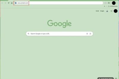 How to View Pay Stubs on ProLiant