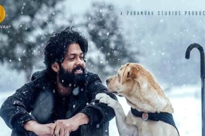 Rakshit Shetty’s Film 777 Charlie Earns 50 Crores Worldwide