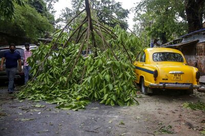 Cyclone Amphan Uproots Trees, Damages Deer Enclosure in Alipore Zoo in West Bengal