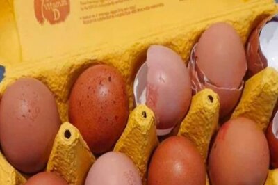 Why Eggshells Should Be Left in The Tray
