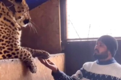 Andhra Pradesh Doc Stays Back in War-hit Ukraine to be With His Two Big Cats – A Jaguar & Leopard