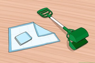 How to Prepare Your Household for a New Dog