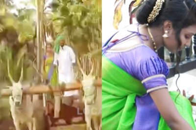 Young Farmer Couple's Unique Pre-Wedding Photoshoot In Agricultural Field