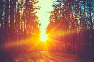 Aaj Ka Panchang, January 30, 2024: Tithi, Vrat, and Today’s Shubh, Ashubh Muhurat