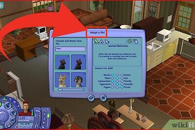 How to Care for a Pet in Sims 2 Pets