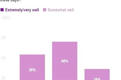 AP-NORC Poll: Few In US Say Democracy Is Working Very Well