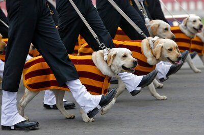 Belgian Malinois, Dog Breed that Helped Kill Osama Bin Laden, to be Part of Indian Army: Report