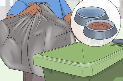 How to Stop Cats from Peeing on the Front Porch