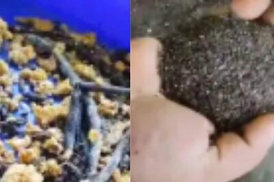 This Panchayat In Dakshina Kannada Sets An Example In Farming, Promotes Use Of Organic Fertilisers