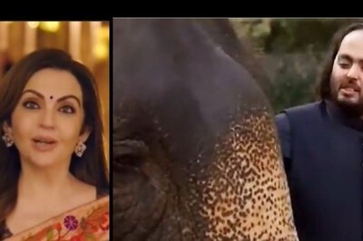 Nita Ambani: Anant Ambani's Vantara A Reminder of Indian Philosophy of Empathy & Respect For All Living Beings