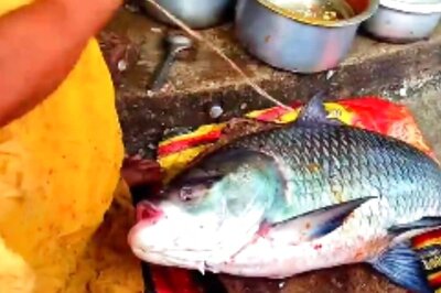 In This Andhra Village, The Fish Business Is Handled By 200 Women