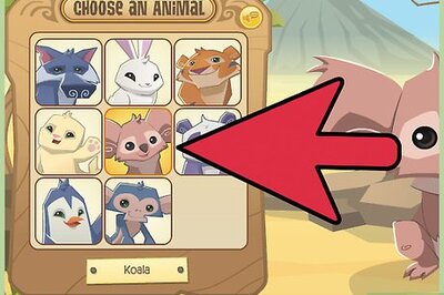 How to Play Animal Jam Classic