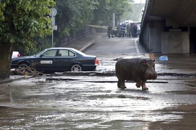 Fifteen killed in Utah flash floods