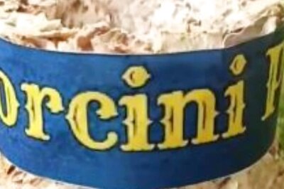 ‘Mushroom Wraps’: Two Girls from Hyderabad Create Alternative to Thermocol, Plastic Packaging