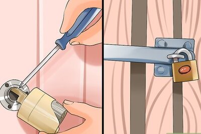 How to Protect Pets from Urban Dangers