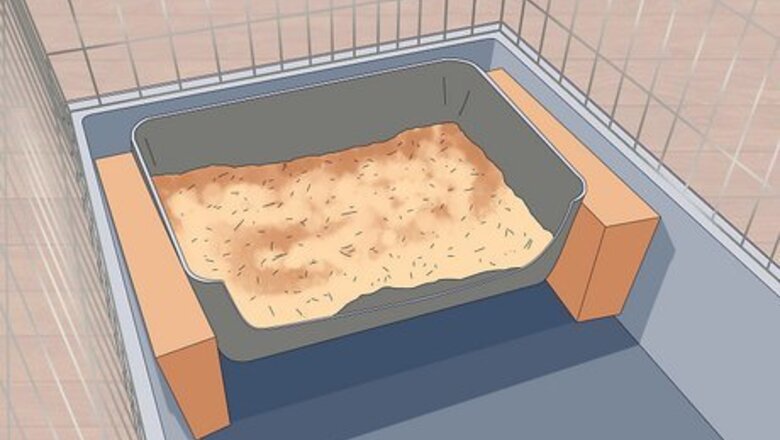 How to Train a Ferret