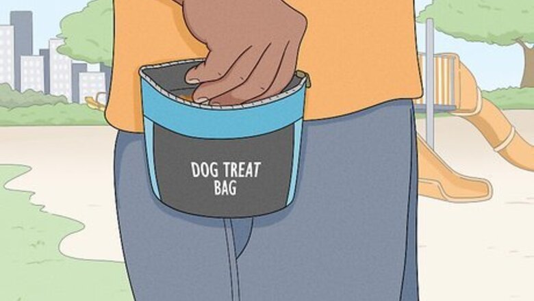 How to Train a Puppy: A Dog Training Pro Shares His Top Tips
