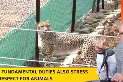 ‘Two Words to Raise Your Josh’, ‘130 Crore Indians Elated’: Top Quotes from PM Modi's Mann ki Baat