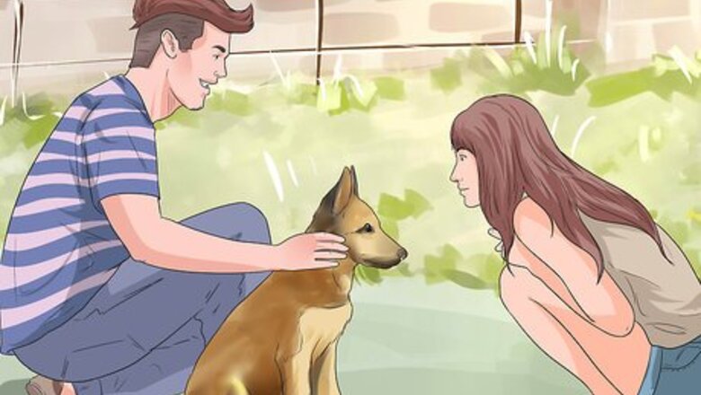 How to Involve a Dog in Pet Therapy Work